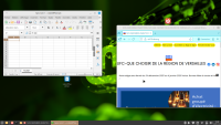 Copie d'écran d'un ordinateur sous Linux avec les logiciels Firefox et Libre Office Calc